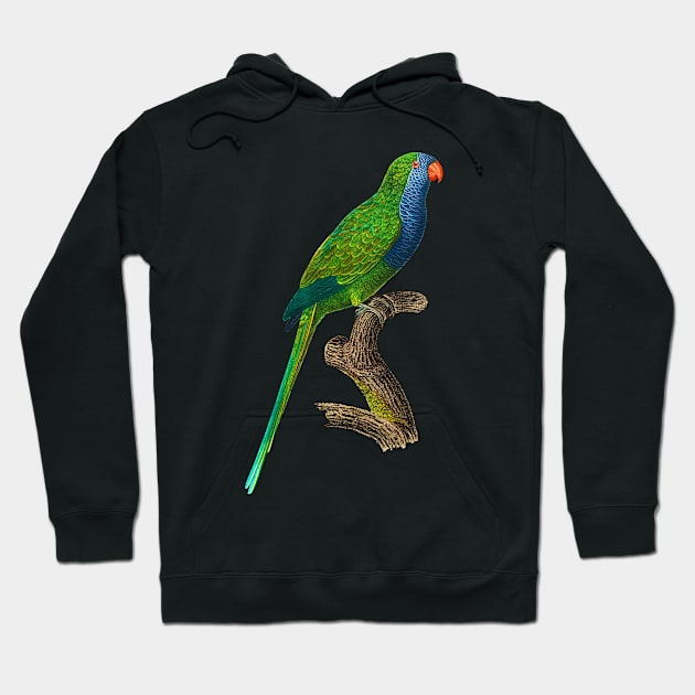 Black Panther Art - Beautiful Parrot 6 Hoodie by The Black Panther